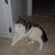 Rm George's profile image