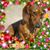 Theda Sieberblock's profile image