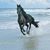 Marilyn Pigg's profile image