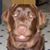 Kim Willison Baade's profile image