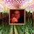 Linda McGehee's profile image