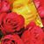 Rhonda BigMama Michelle's profile image
