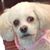 Lisa Walters Michaels's profile image