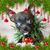 Kelly Gardner's profile image