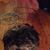 Ashley Cadle's profile image
