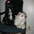 Murline Neisz's profile image