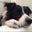 Katie Lewers's profile image