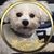 Jennifer Tate's profile image