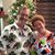 Gerry Fish's profile image