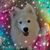 Cathy Thayer's profile image