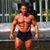 Phil Bradshaw's profile image