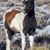 Judy Culberson's profile image