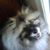 Cathy Battaglia Sicard's profile image