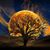 Jeanne Porter Brubaker's profile image