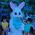 Michael Croom's profile image