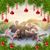 Joy Terhune's profile image