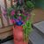 Linette Anderson Welshinger's profile image