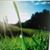 Carol Morris's profile image