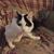 Renee Wells Franks's profile image