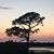 Heather Smith Spangler's profile image