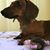 Lissette Gloria Gil's profile image