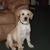 Don BeVier's profile image