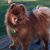 Lee Matherly's profile image