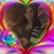 Nancy Reinoso's profile image