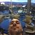 Peter Gomez's profile image