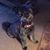Annette Swank McRaven's profile image