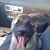 Andi Focht-Williams's profile image