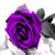 Ivette Gonzalez's profile image