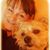 Tina Carswell's profile image