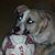 LouAnn Cooper Nagle's profile image