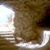 Mark McKercher's profile image