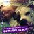 Tami Emerson Becker's profile image