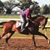 Lyndsay Deaver's profile image