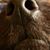 Tracy Nevel Evans's profile image