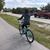 Tracey Beal's profile image