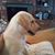 Gregory Pritchett's profile image