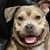 Lisa Collins Gonzalez's profile image