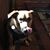 Gary Lazenby's profile image