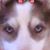 Enzo Balto Fazio's profile image