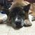 Brenda Soltesz-Binns's profile image
