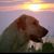 Meade Porter's profile image