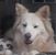 Tracie Bryant-Andrews's profile image