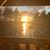 Debra Mauthe's profile image