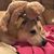 Deanna L. Bohler's profile image