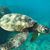 Holly Houk's profile image