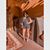 Eldisa Susak's profile image